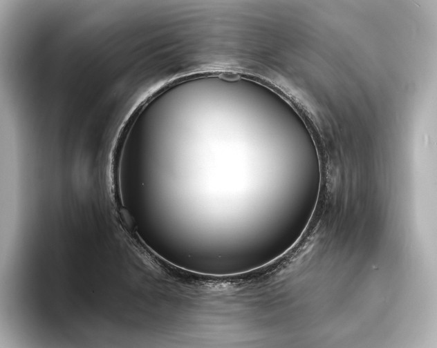 X0000094321230200711021346