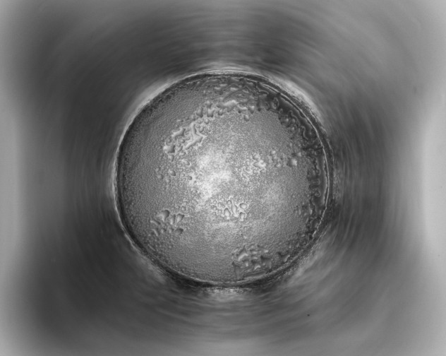 X0000094321231200711021346