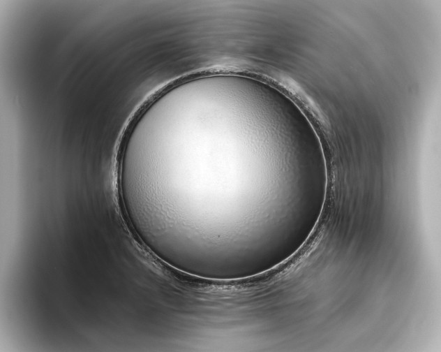 X0000094321232200711021346