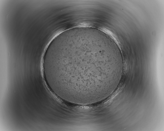 X0000094321235200711021346