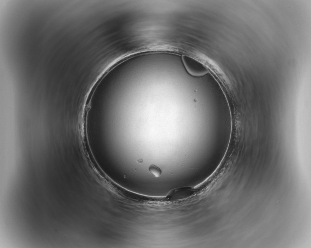 X0000094321236200711021346