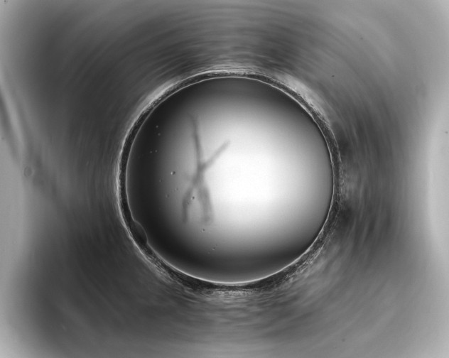 X0000094321237200711021346