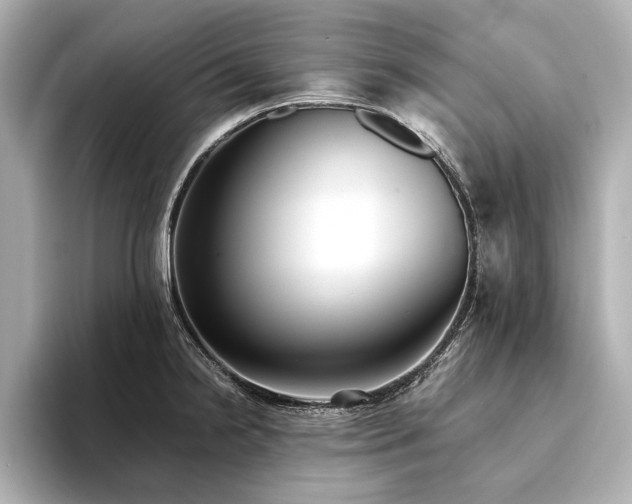 X0000094321238200711021346