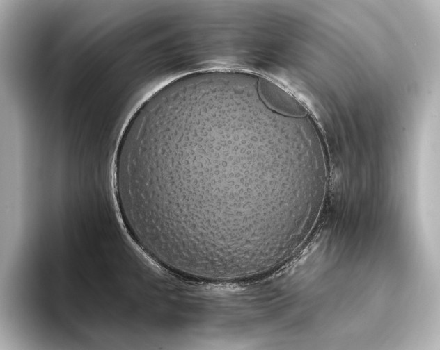 X0000094321239200711021346
