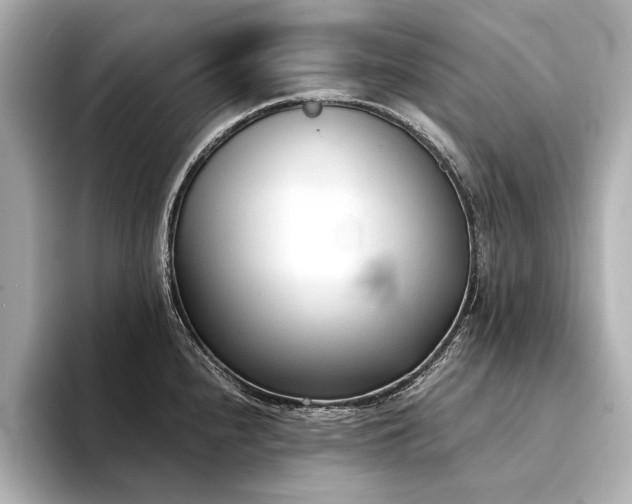 X0000094321240200711021346