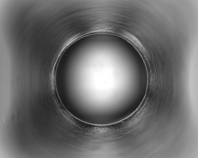 X0000094321242200711021346