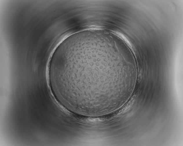 X0000094321243200711021346