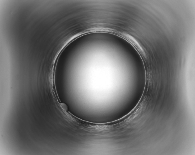 X0000094321244200711021346