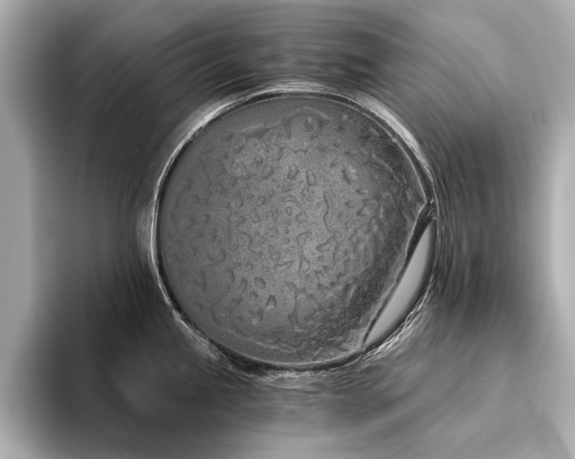 X0000094321245200711021346