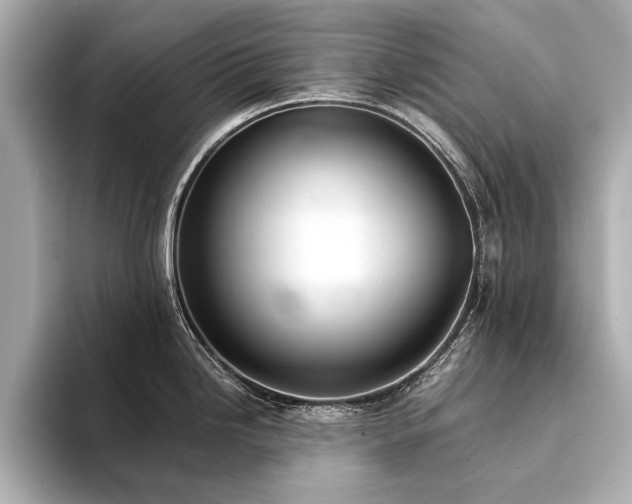 X0000094321246200711021346