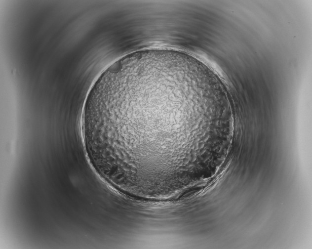 X0000094321247200711021346