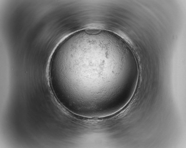 X0000094321248200711021346