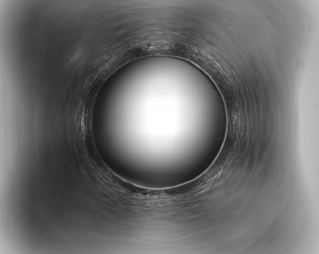 X0000094321250200711021345