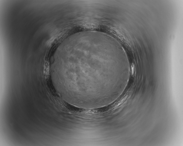 X0000094321251200711021345