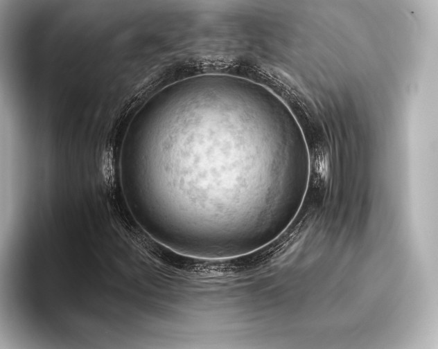 X0000094321252200711021345