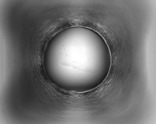 X0000094321253200711021345