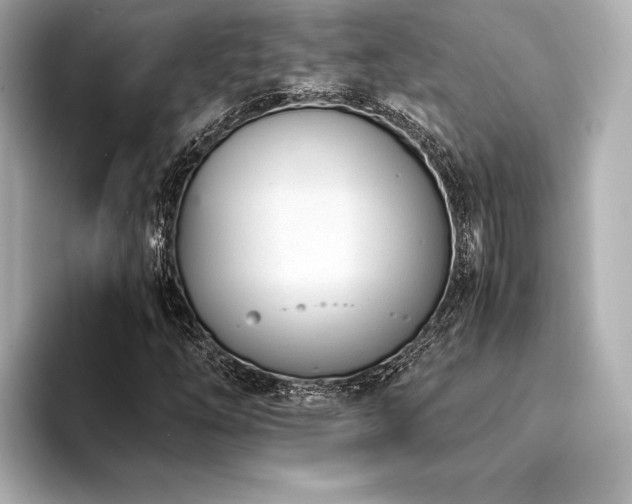 X0000094321254200711021345