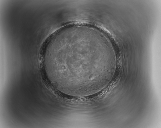 X0000094321255200711021345