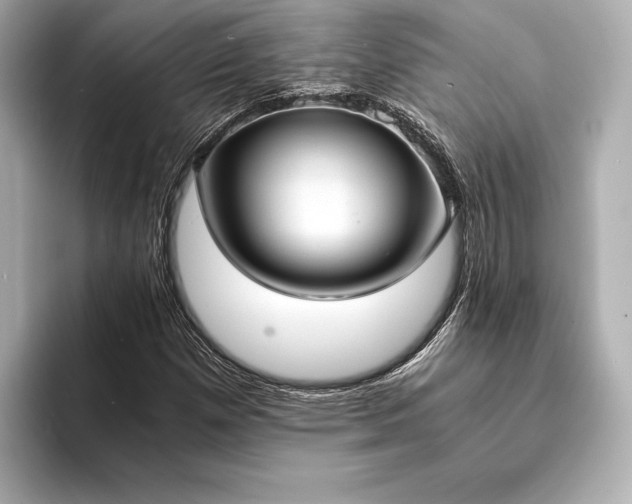 X0000094321257200711021345