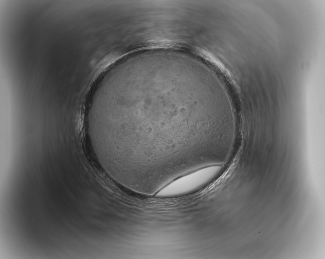 X0000094321259200711021345