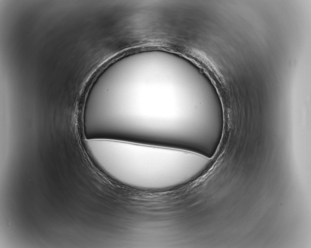 X0000094321260200711021345