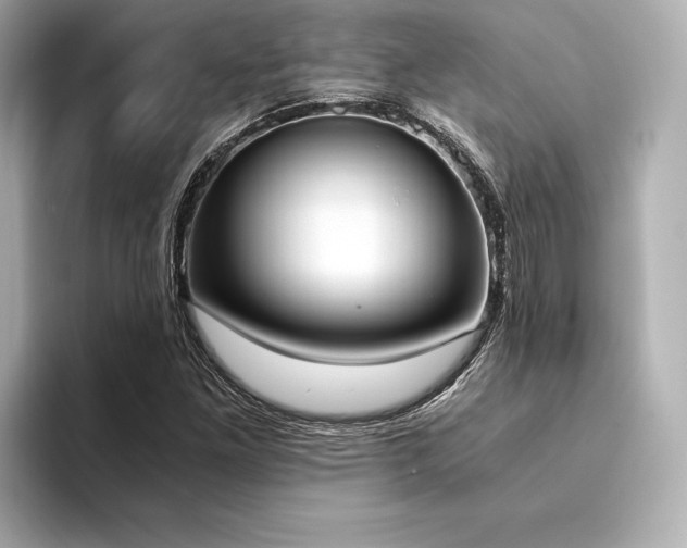 X0000094321261200711021345