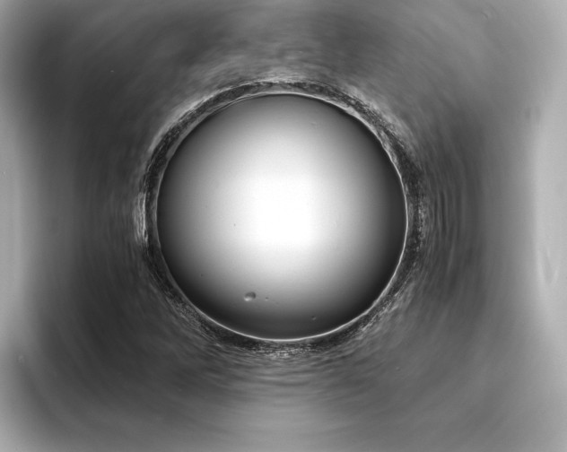 X0000094321262200711021345