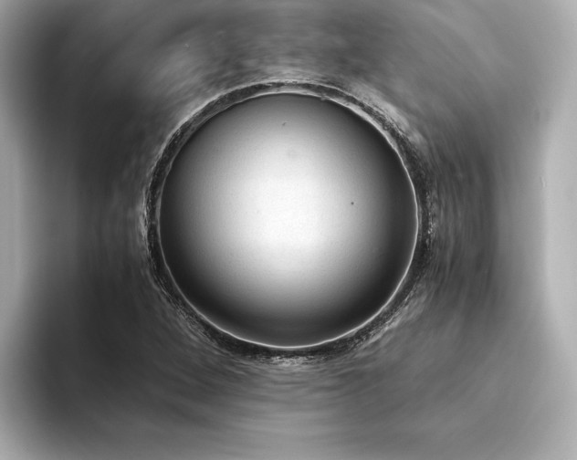 X0000094321264200711021345