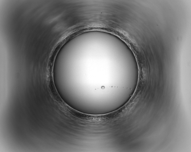 X0000094321266200711021345
