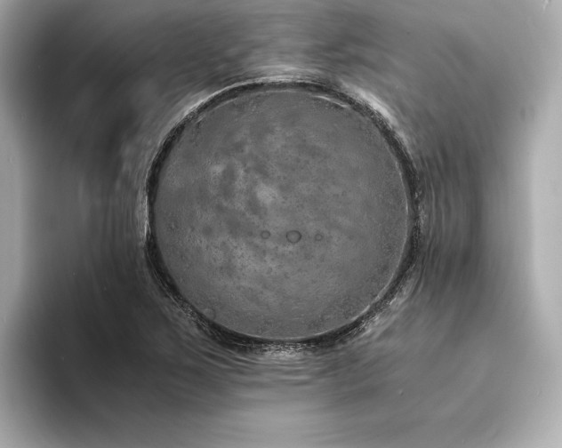 X0000094321267200711021345