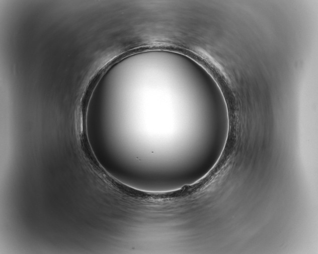X0000094321269200711021345