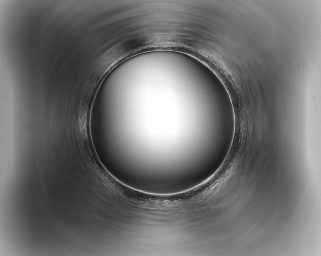 X0000094321273200711021345