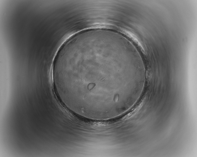 X0000094321275200711021345