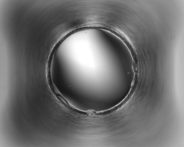 X0000094321277200711021345