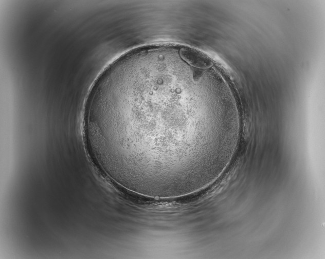 X0000094321279200711021345