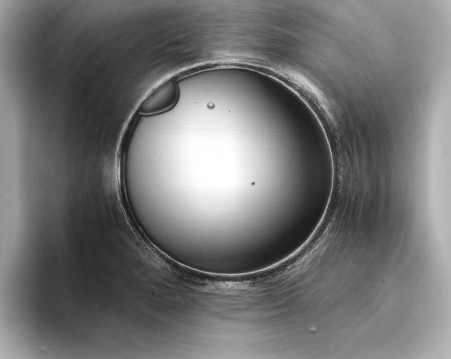X0000094321280200711021345