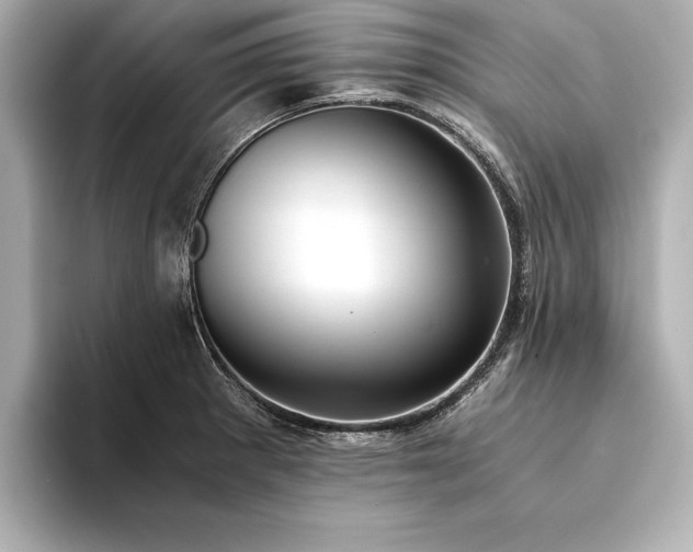 X0000094321281200711021345