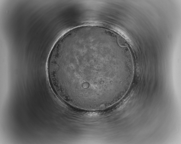 X0000094321283200711021345