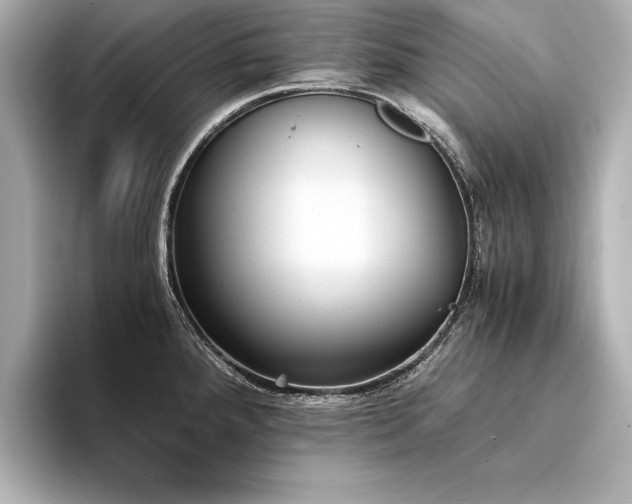 X0000094321288200711021345