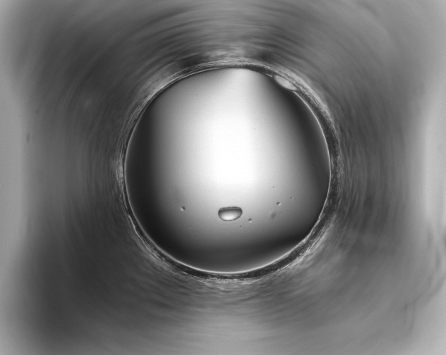 X0000094321289200711021345
