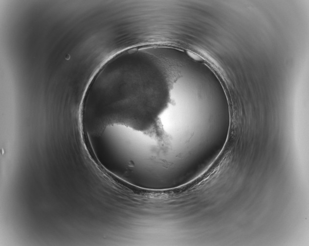 X0000094321291200711021345