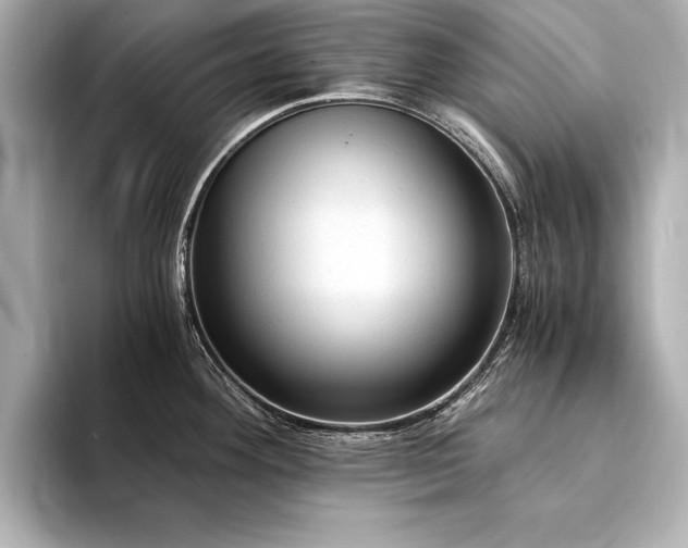 X0000094321292200711021345