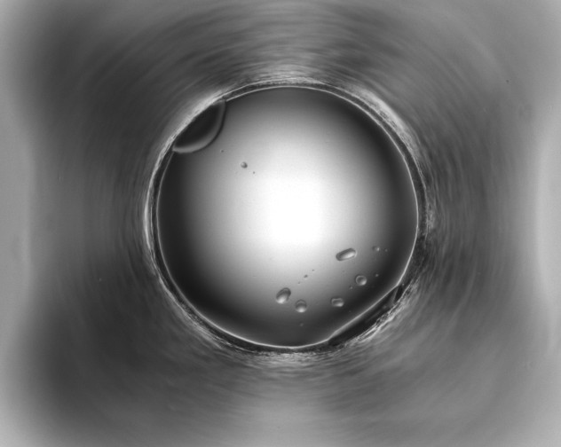 X0000094321293200711021345