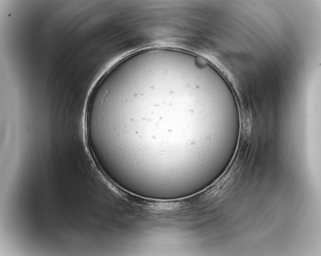 X0000094321294200711021345