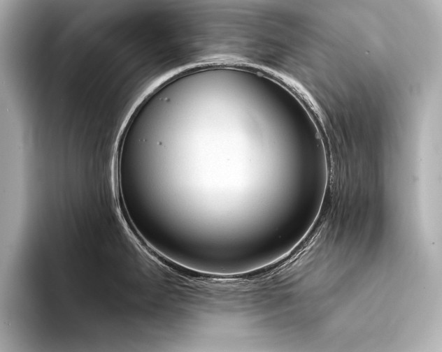 X0000094321295200711021345