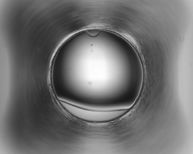 X0000094321296200711021345