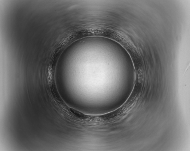 X0000094321298200711021344