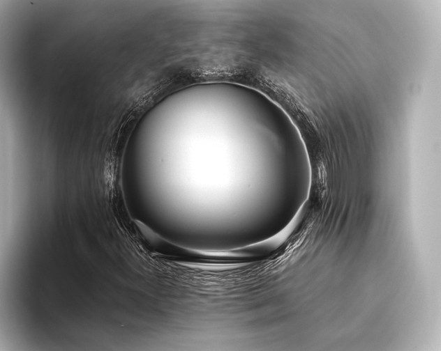 X0000094321300200711021344