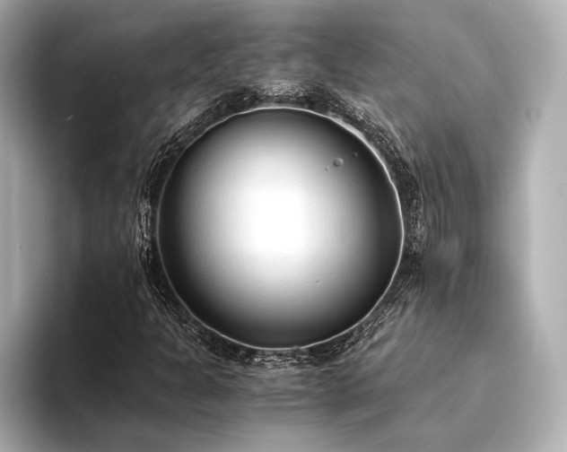 X0000094321301200711021344