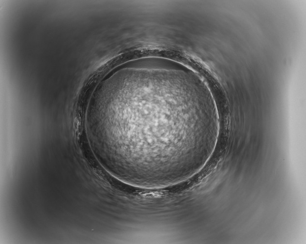 X0000094321303200711021344